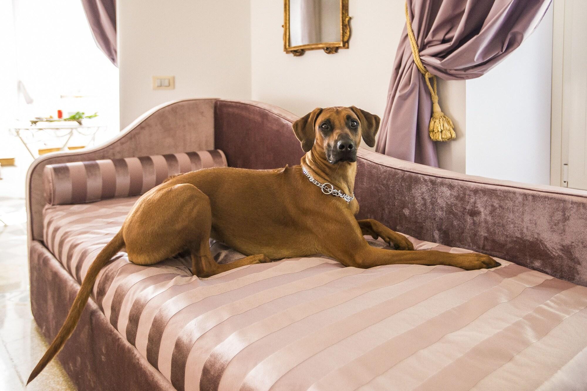 Trastevere Royal Suite Roma Ngoại thất bức ảnh